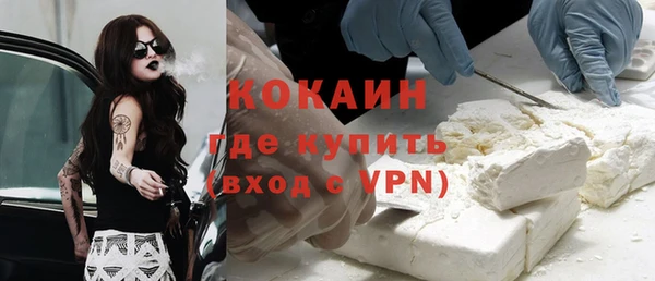 прущие грибы Богородицк