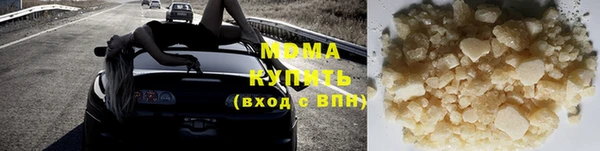 прущие грибы Богородицк