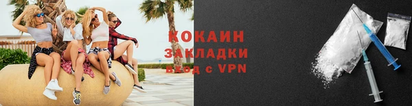 прущие грибы Богородицк