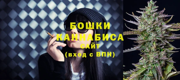 бошки Богданович