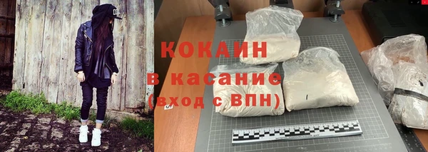 прущие грибы Богородицк