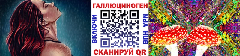 кракен онион  Вязьма  Галлюциногенные грибы Magic Shrooms  где можно купить  